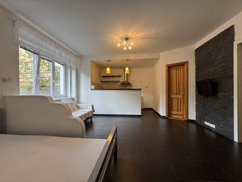 Prodej bytu 1+kk v osobním vlastnictví 34 m², Olomouc
