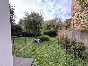 Prodej bytu 1+kk v osobním vlastnictví 34 m², Olomouc