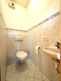 Pronájem bytu 3+1 v osobním vlastnictví 102 m², Bílovec