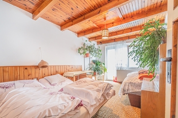 Prodej zemědělského objektu 210 m², Toužetín