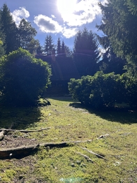 Prodej chaty / chalupy 50 m², Jetřichovice
