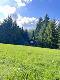 Prodej chaty / chalupy 50 m², Jetřichovice