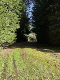 Prodej chaty / chalupy 50 m², Jetřichovice