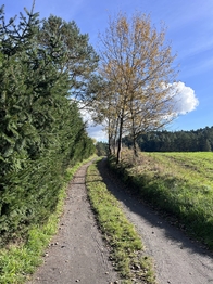Prodej chaty / chalupy 50 m², Jetřichovice
