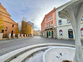 Prodej nájemního domu 900 m², Mladá Boleslav