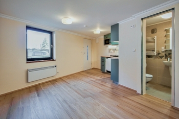 Pokoj s kuchyňským koutem - Pronájem bytu 1+kk v osobním vlastnictví 42 m², Horoměřice