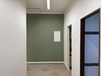 Pronájem obchodních prostor 210 m², Praha 10 - Strašnice