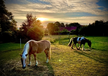 Prodej domu 300 m², Uhelná Příbram
