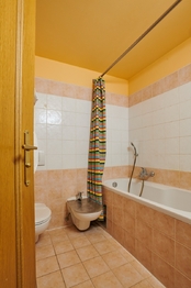 Prodej bytu 1+kk v osobním vlastnictví 33 m², Praha 8 - Karlín