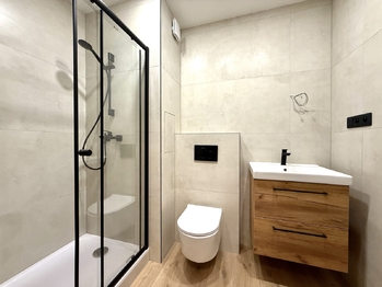 Pronájem bytu 2+1 v osobním vlastnictví 56 m², Karlovy Vary