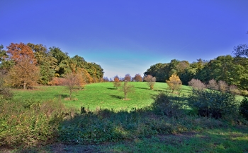 Prodej pozemku 5599 m², Zlín