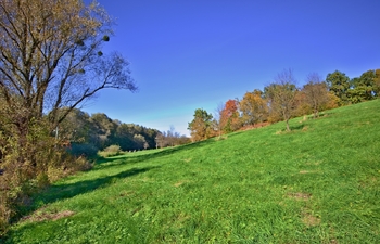 Prodej pozemku 5599 m², Zlín