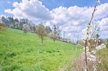 Prodej pozemku 5599 m², Zlín