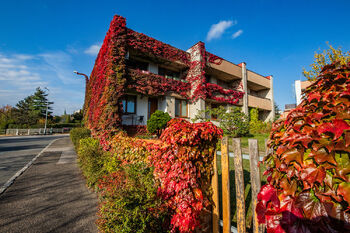 Pronájem domu 164 m², Praha 6 - Dejvice