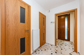 Pronájem domu 164 m², Praha 6 - Dejvice