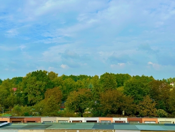výhled z kuchyně - Prodej bytu 2+1 v osobním vlastnictví 55 m², Karviná