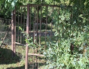 Prodej pozemku 770 m², Sokolnice