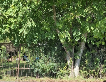 Prodej pozemku 770 m², Sokolnice