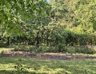 Prodej pozemku 770 m², Sokolnice
