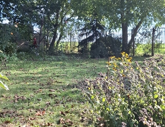 Prodej pozemku 770 m², Sokolnice
