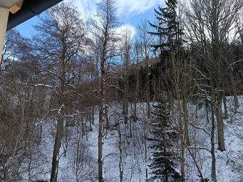 Prodej bytu 3+kk v osobním vlastnictví 108 m², Mladé Buky