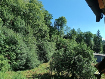 Prodej bytu 3+kk v osobním vlastnictví 97 m², Mladé Buky