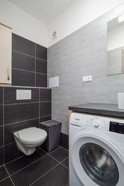 Prodej bytu 2+kk v osobním vlastnictví 45 m², Všemina