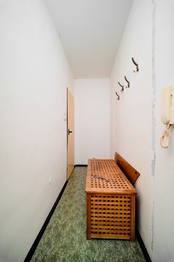 Prodej bytu 1+1 v osobním vlastnictví 44 m², Veselí nad Moravou