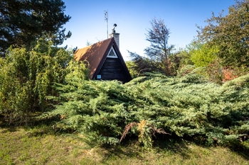 Prodej chaty / chalupy 30 m², Střelice