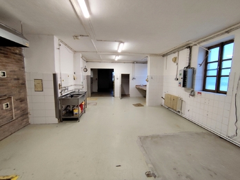 Pronájem výrobních prostor 159 m², Mšeno