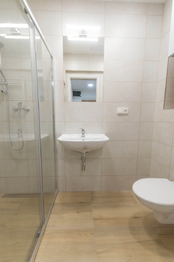 koupelna - Prodej bytu 2+kk v osobním vlastnictví 46 m², Praha 3 - Žižkov