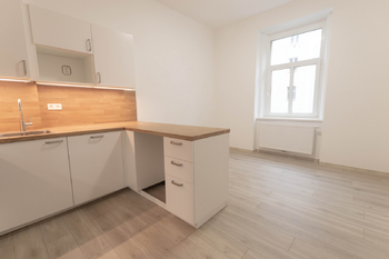 pokoj - Prodej bytu 2+kk v osobním vlastnictví 46 m², Praha 3 - Žižkov