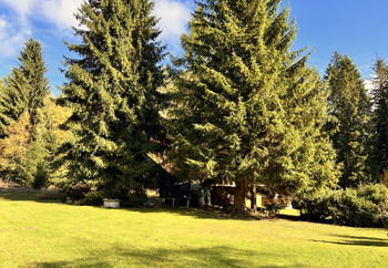 Zahrada - Prodej chaty / chalupy 76 m², Nejdek
