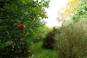 Prodej domu 101 m², Kostelec nad Černými lesy
