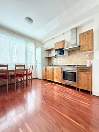 Pronájem bytu 1+1 v osobním vlastnictví 35 m², Bílina