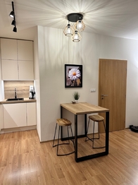 Pronájem bytu 3+kk v osobním vlastnictví 78 m², Praha 9 - Čakovice