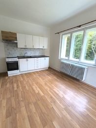 Pronájem bytu 2+1 v osobním vlastnictví 68 m², Střížovice