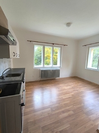 Pronájem bytu 2+1 v osobním vlastnictví 68 m², Střížovice