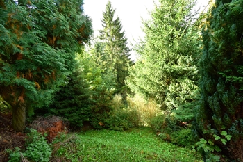 Prodej chaty / chalupy 101 m², Kostelec nad Černými lesy