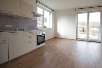 Pronájem bytu 1+kk v osobním vlastnictví 32 m², Libčice nad Vltavou