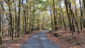 Obec Dětkovice - Prodej domu 145 m², Dětkovice