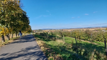 Ovocné sady Dětkovice - Prodej domu 145 m², Dětkovice