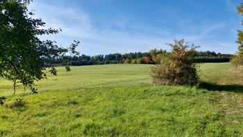 Obec Dětkovice - Prodej domu 145 m², Dětkovice