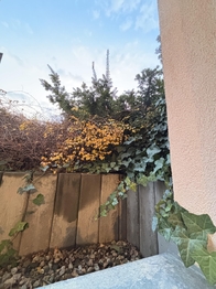 Pronájem bytu 1+kk v osobním vlastnictví 24 m², Praha 9 - Černý Most