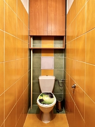 Prodej bytu 2+1 v osobním vlastnictví 60 m², Rohoznice