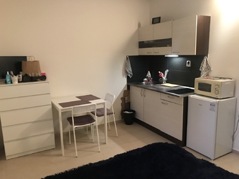 Pronájem bytu 1+kk v osobním vlastnictví 20 m², Praha 8 - Libeň