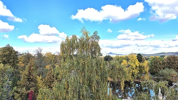 Pronájem bytu 1+1 v osobním vlastnictví 38 m², Louny
