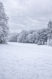 Prodej pozemku 1125 m², Maršovice