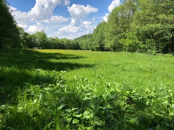 Prodej pozemku 14292 m², Strašín