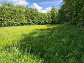 Prodej pozemku 14292 m², Strašín